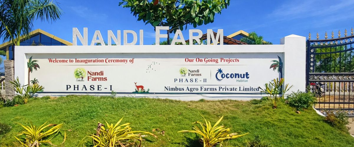 Workation at Lepakshi: Nature & Peace at Nandi Farm